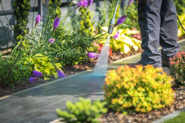 Best Commercial Pressure Washing in Kilmarnock, VA